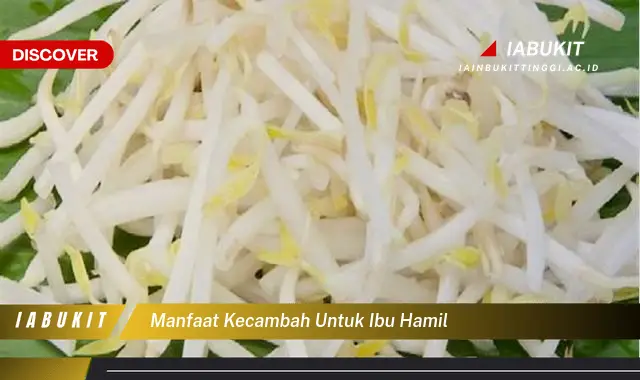 manfaat kecambah untuk ibu hamil