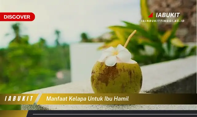 manfaat kelapa untuk ibu hamil