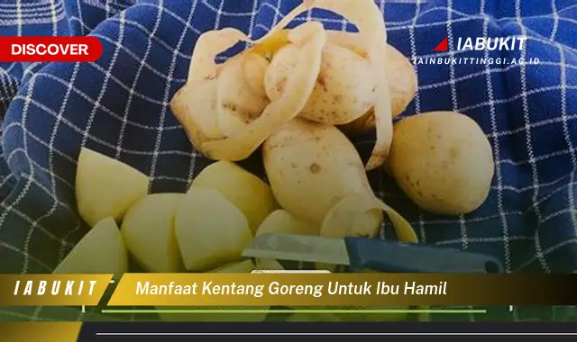manfaat kentang goreng untuk ibu hamil
