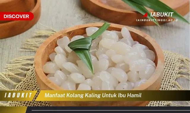 manfaat kolang kaling untuk ibu hamil