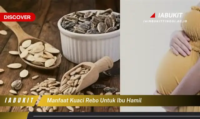 manfaat kuaci rebo untuk ibu hamil