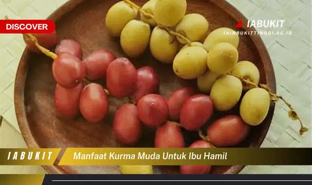 manfaat kurma muda untuk ibu hamil