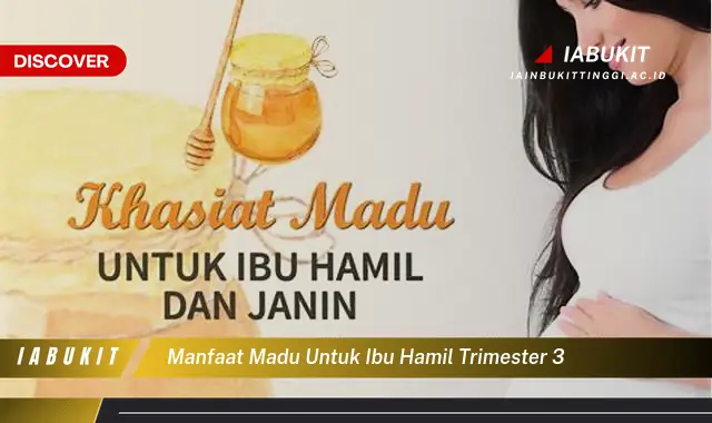 manfaat madu untuk ibu hamil trimester 3