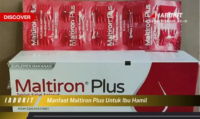 manfaat maltiron plus untuk ibu hamil