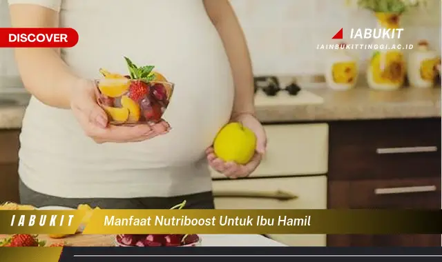 manfaat nutriboost untuk ibu hamil