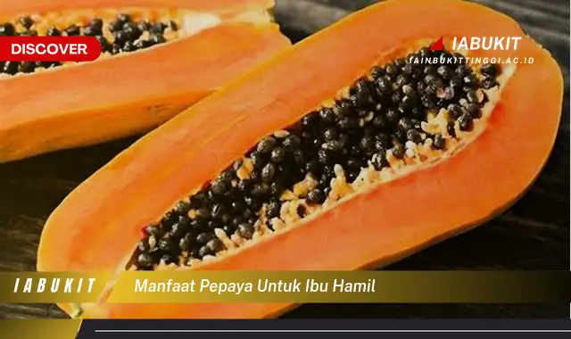 manfaat pepaya untuk ibu hamil