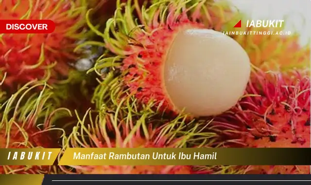 manfaat rambutan untuk ibu hamil