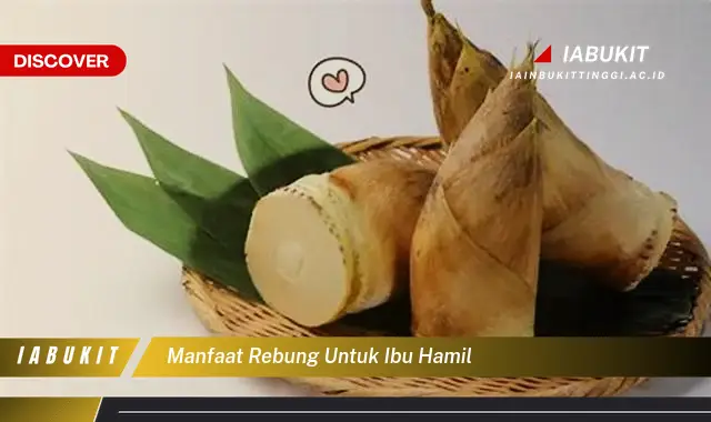 manfaat rebung untuk ibu hamil