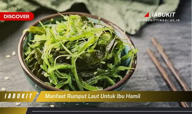 manfaat rumput laut untuk ibu hamil