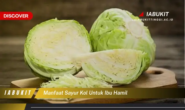 manfaat sayur kol untuk ibu hamil