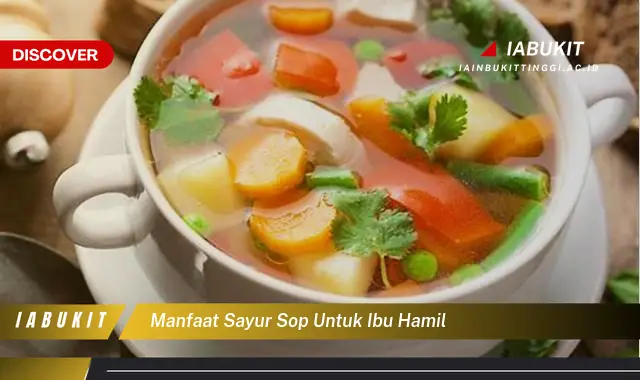 manfaat sayur sop untuk ibu hamil