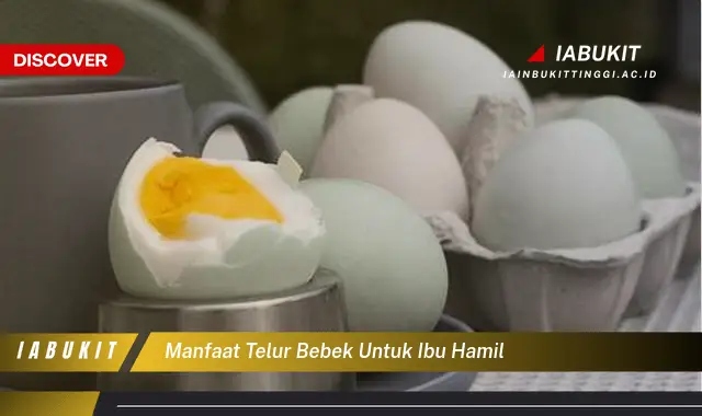 manfaat telur bebek untuk ibu hamil