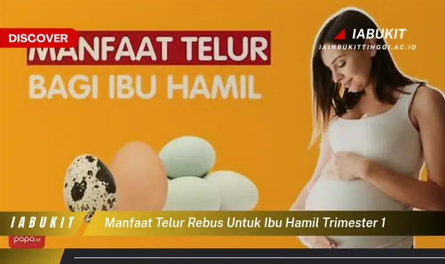 manfaat telur rebus untuk ibu hamil trimester 1