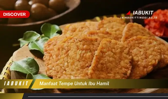 manfaat tempe untuk ibu hamil