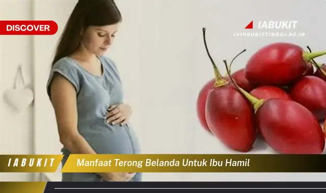 manfaat terong belanda untuk ibu hamil