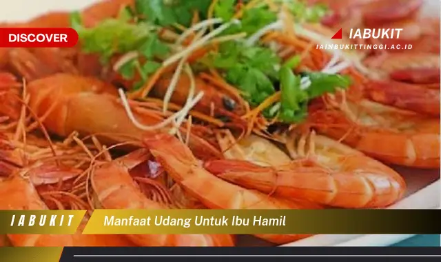 manfaat udang untuk ibu hamil