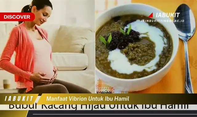 manfaat vibrion untuk ibu hamil