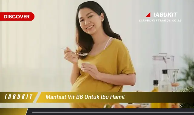 manfaat vit b6 untuk ibu hamil