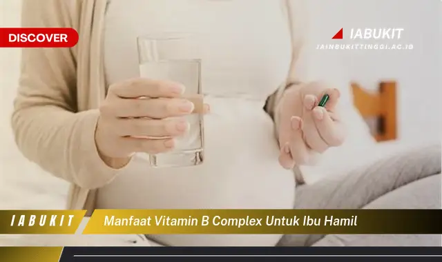 manfaat vitamin b complex untuk ibu hamil manfaat vitamin b complex untuk ibu hamil