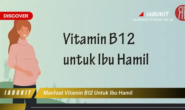 manfaat vitamin b12 untuk ibu hamil