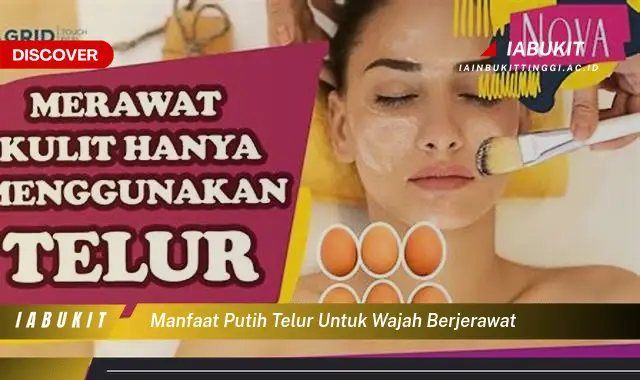 Banyak yang Belum Tau, Inilah 20 Manfaat Putih Telur untuk Wajah Berjerawat yang Wajib Diintip - E-Jurnal