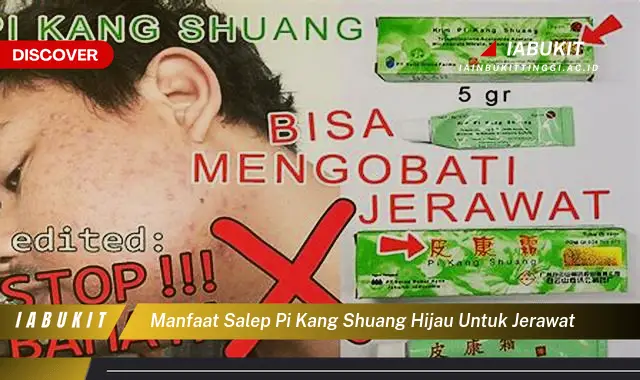 manfaat salep pi kang shuang hijau untuk jerawat