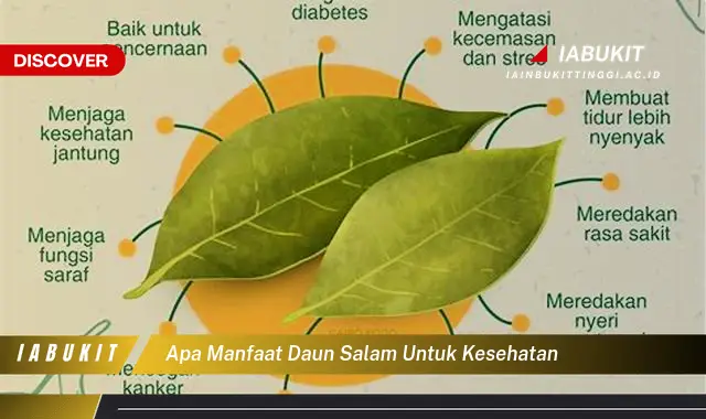 apa manfaat daun salam untuk kesehatan