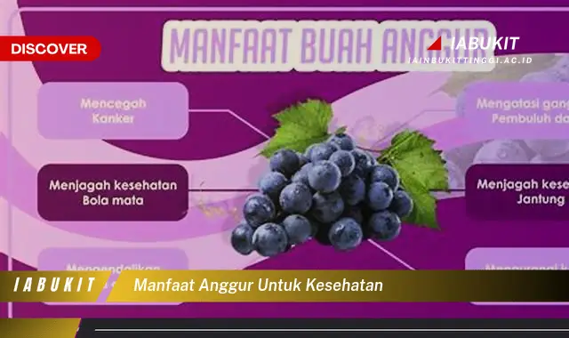 manfaat anggur untuk kesehatan