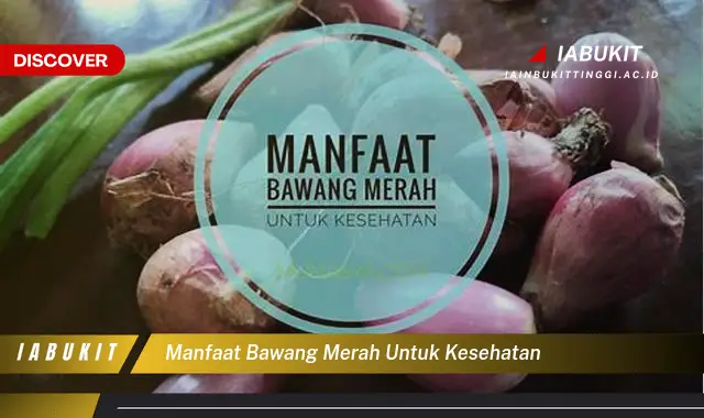 manfaat bawang merah untuk kesehatan
