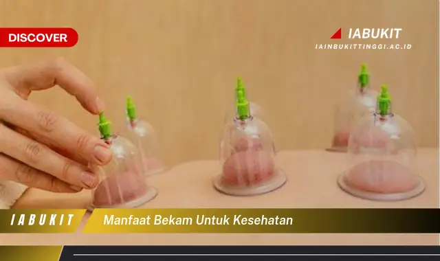 manfaat bekam untuk kesehatan