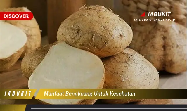 manfaat bengkoang untuk kesehatan