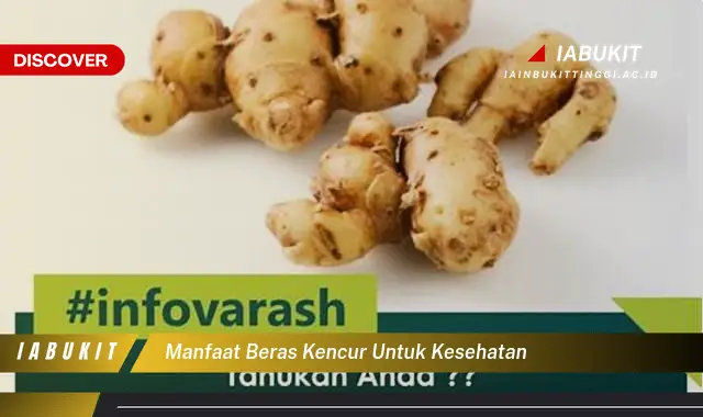 manfaat beras kencur untuk kesehatan