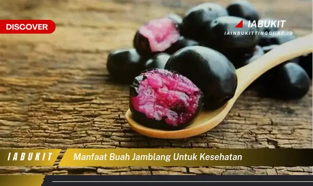 manfaat buah jamblang untuk kesehatan