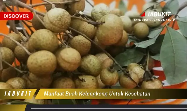 manfaat buah kelengkeng untuk kesehatan