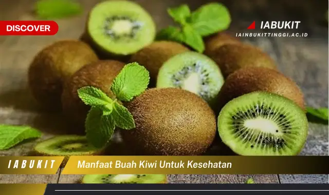 manfaat buah kiwi untuk kesehatan