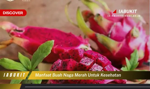 manfaat buah naga merah untuk kesehatan