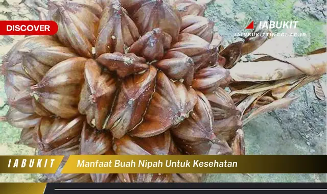 manfaat buah nipah untuk kesehatan