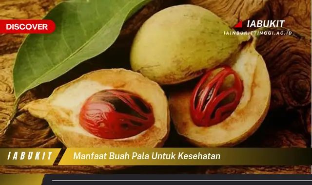 manfaat buah pala untuk kesehatan