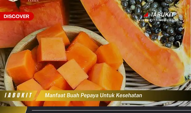 manfaat buah pepaya untuk kesehatan