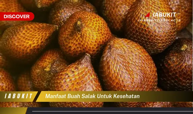 Bikin Penasaran, Inilah 20 Manfaat Buah Salak untuk Kesehatan - E-Jurnal