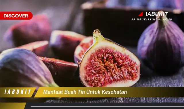 manfaat buah tin untuk kesehatan