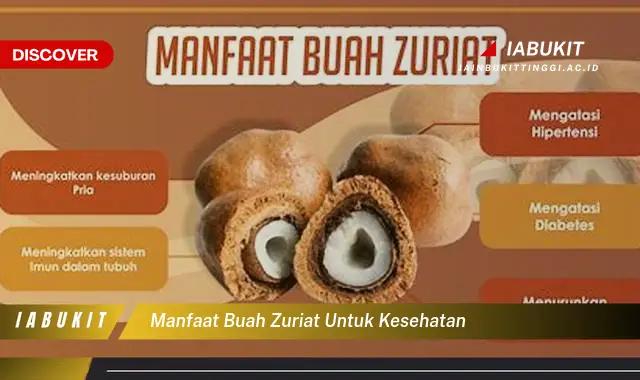 manfaat buah zuriat untuk kesehatan