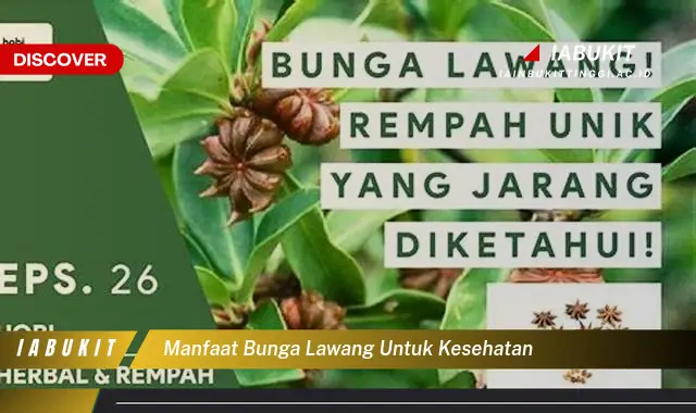 manfaat bunga lawang untuk kesehatan