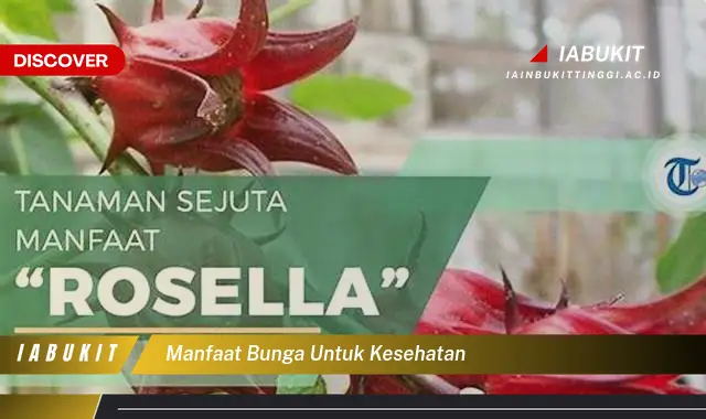 manfaat bunga untuk kesehatan