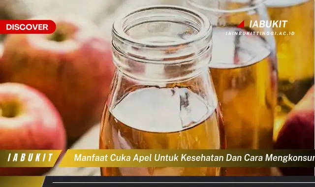manfaat cuka apel untuk kesehatan dan cara mengkonsumsinya