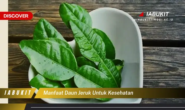 manfaat daun jeruk untuk kesehatan