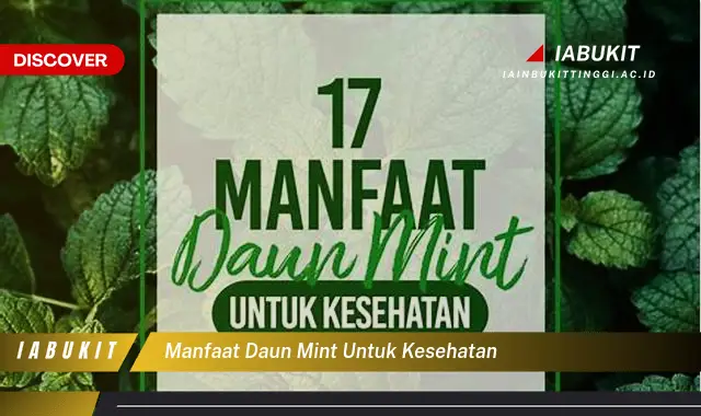 manfaat daun mint untuk kesehatan