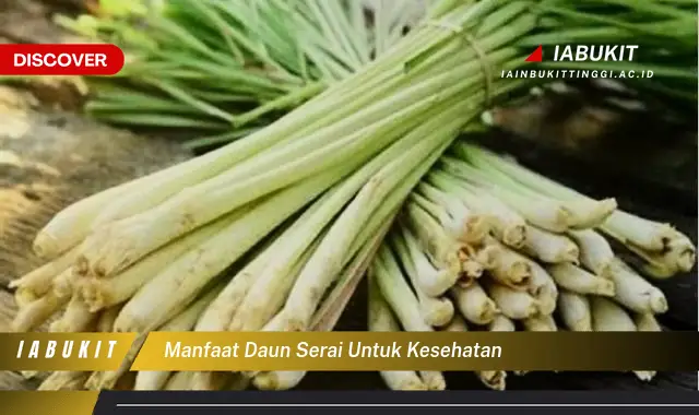 manfaat daun serai untuk kesehatan