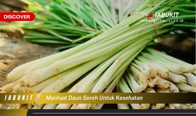 manfaat daun sereh untuk kesehatan