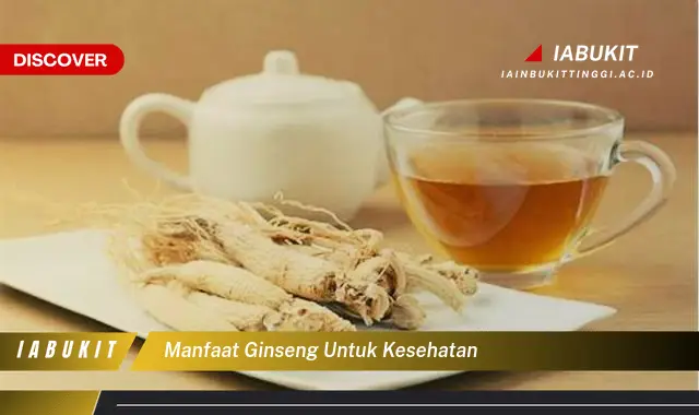 manfaat ginseng untuk kesehatan